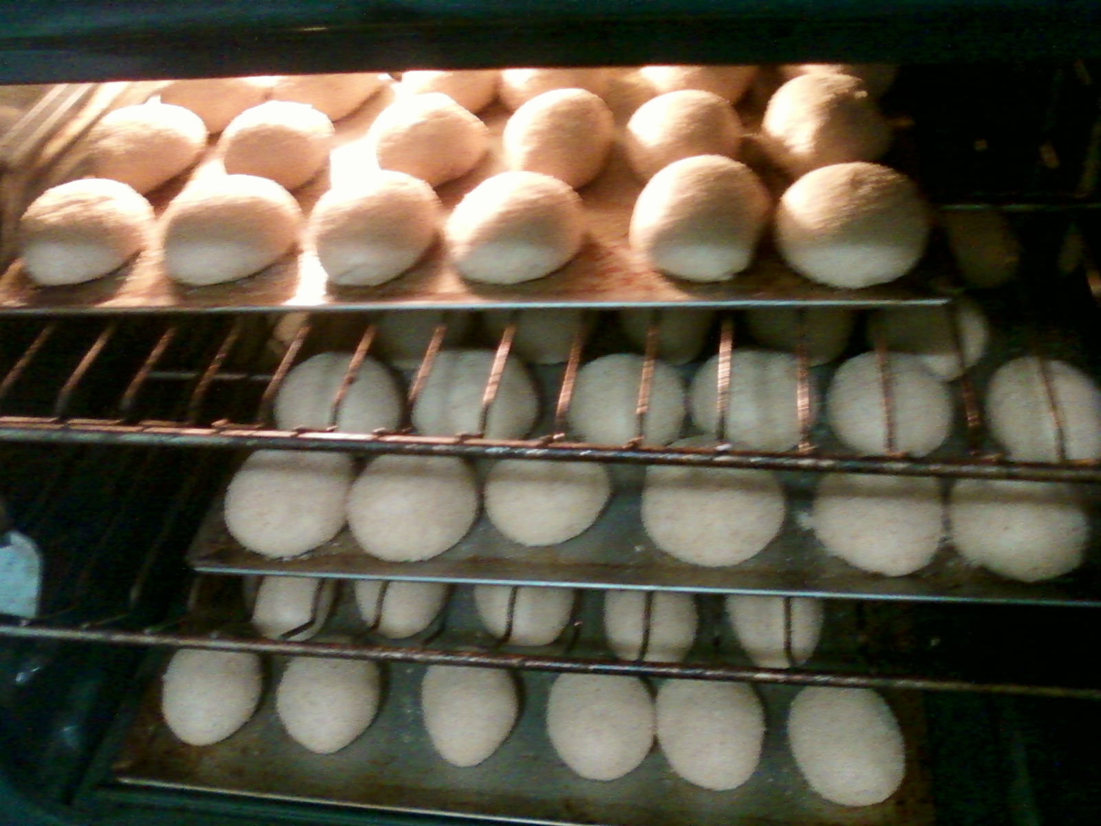 2 kilograms of Whole Wheat Pandesal