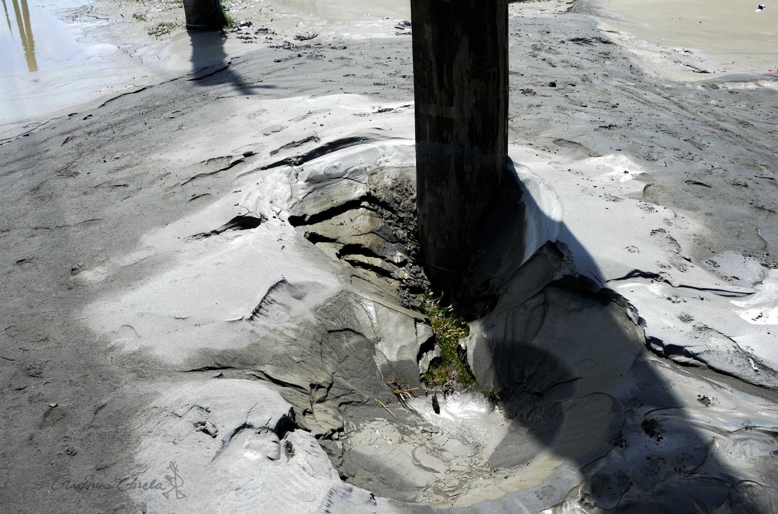 Assorted Goodies Boxing Day in Sunny & Shaken Christchurch