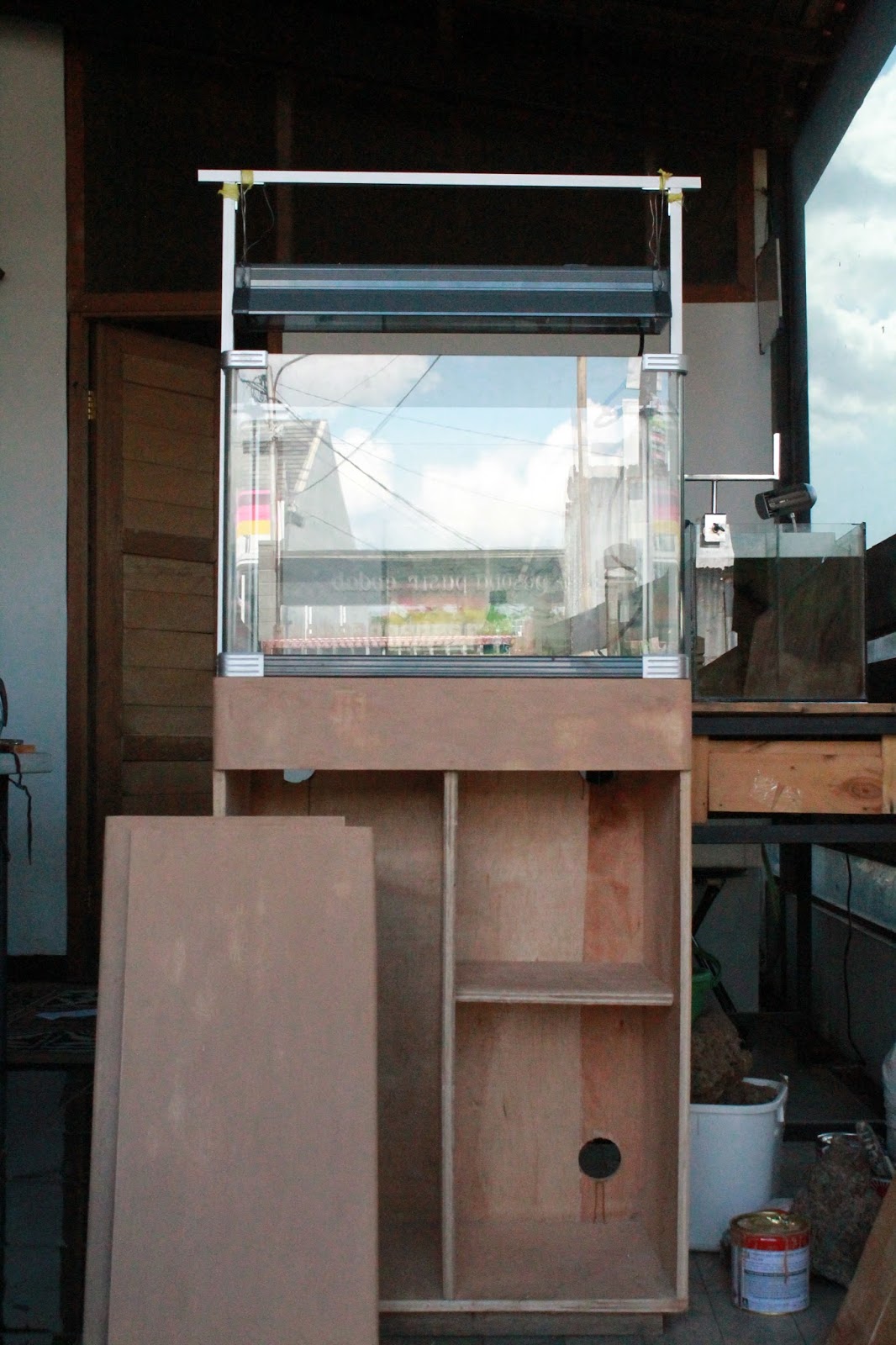 7 Cara Membuat Aquarium Mini Sederhana Unik Di Jamin Sukses 2019