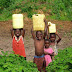 World Day Against Child Labour - ‘In conflicts and disasters, protect children from child labour’