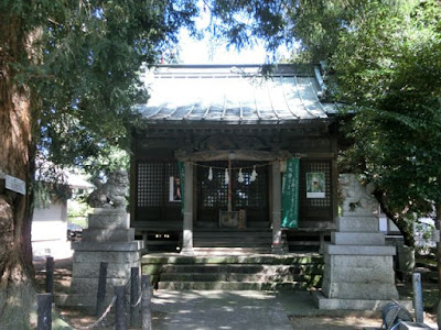 �����_��