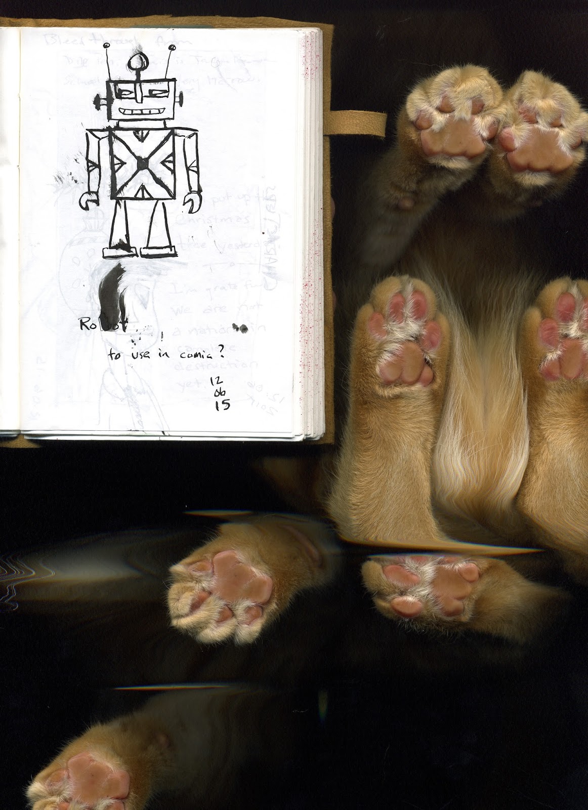 Script Kitty Scanning Scribbling With Spirit: Hot Tip for Scanning Your Art: Lock the Cat Out