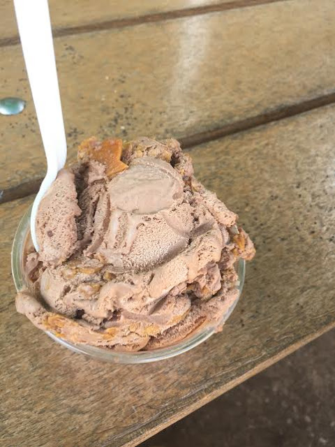 Hudsonville Peanut Butter Chocolate Ice Cream at Nancys New Buffalo, MI