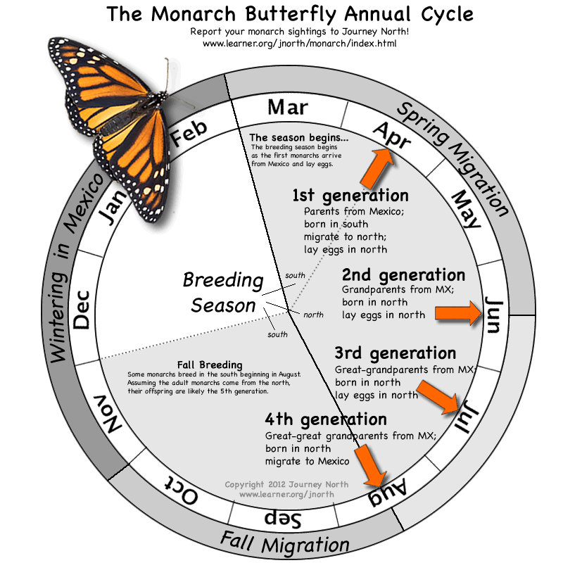 Think Global, Garden Local: January 2014