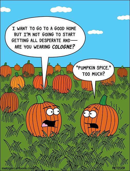 Zucchini Summer Friday Funnies Pumpkin Spice