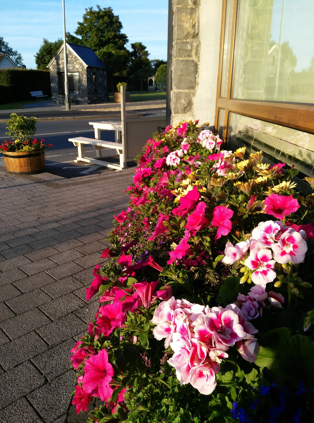 POSTCARDS FROM IRELAND Moycullen at Dawn