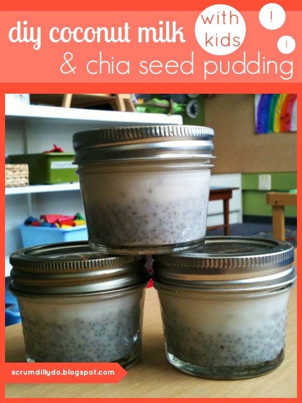 scrumdillydo! diy coconut milk and chia seed pudding {with kids}