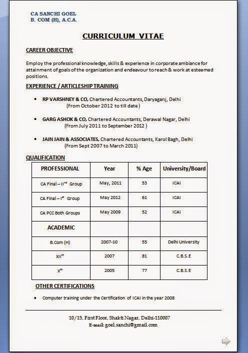 resume format normal pdf