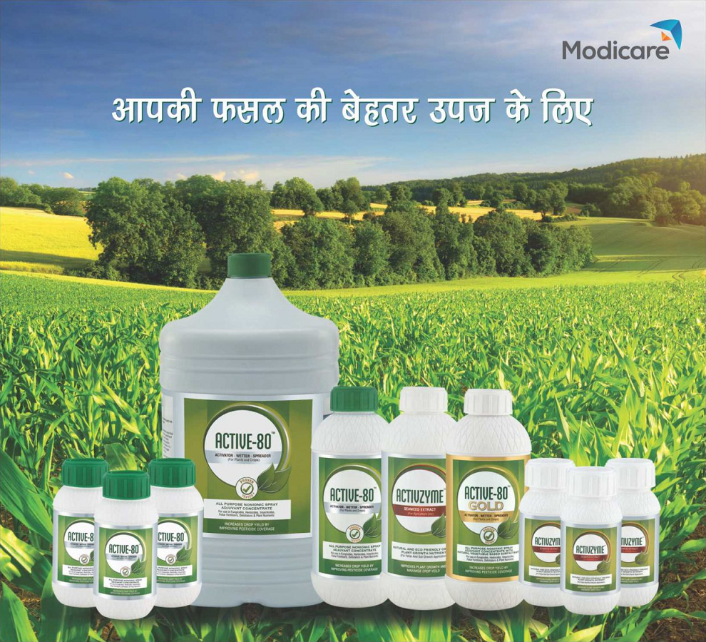 Агринова. Wilcox agri-products. Ag products. Ярмарка овощей и фруктов. Овощи и фрукты на рынке.