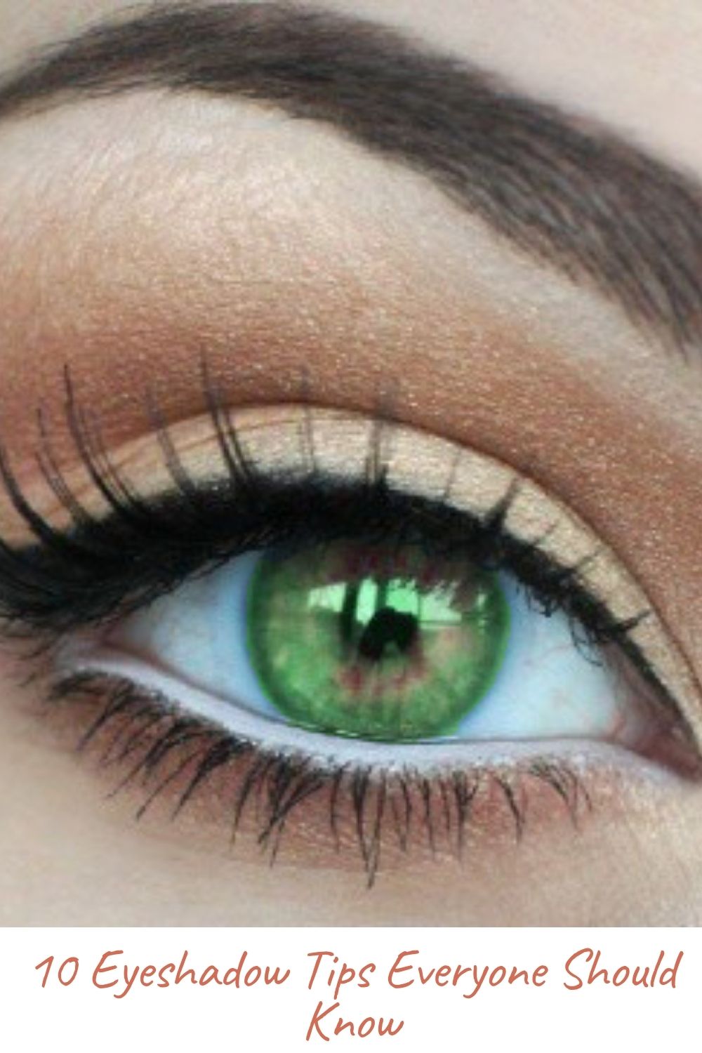 10 Eyeshadow Tips Everyone Should Know