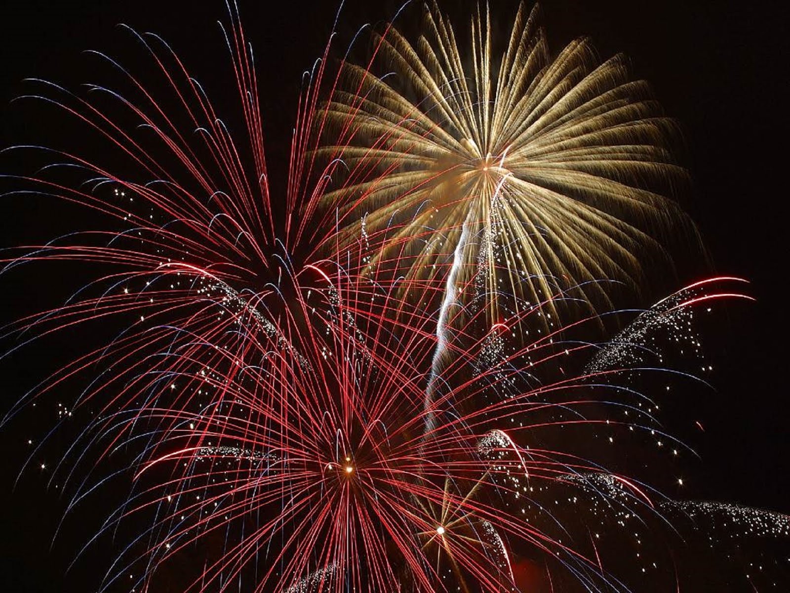 How to Dispose of Fireworks: 6 Steps (with) How to Dispose of Fireworks: 6 Steps (with)
