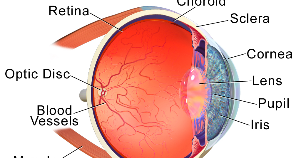 Laxmi Homeo Clinic Cataract treatment and remedies