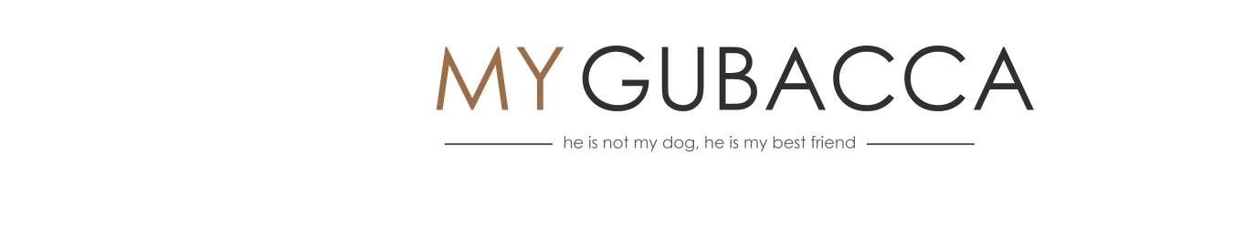 Hundeblog: My Gubacca - Gos d´ Atura Català