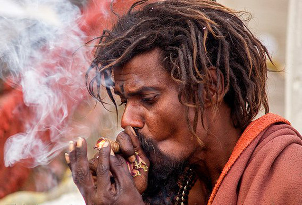 Чарас в индии Чарас в индии