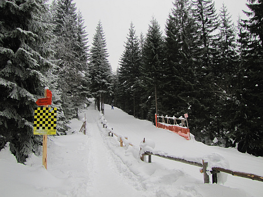 Nartostrada Goryczkowa w Dolnie Bystrej.