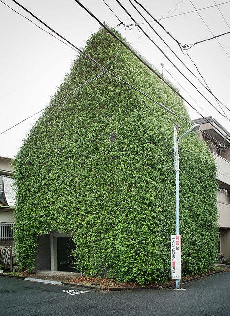 自然それとも建築？緑に覆われた緑化建築。8つ【arc】 覆われすぎた緑化？