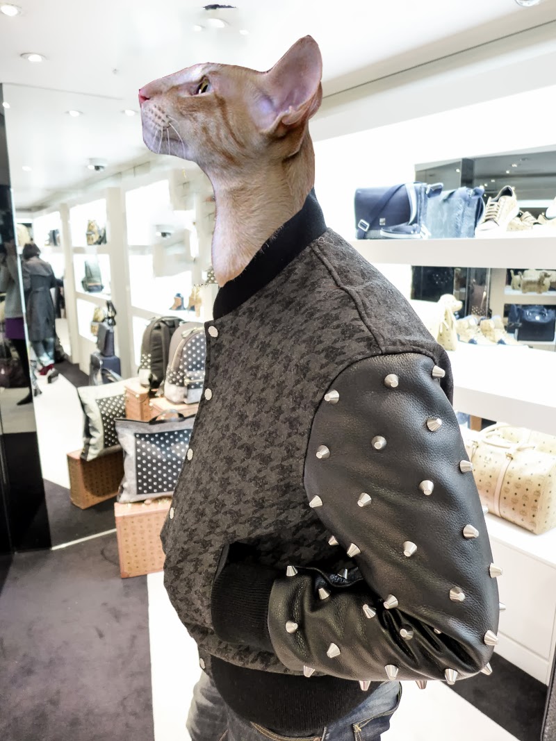 louis vuitton cat sweater