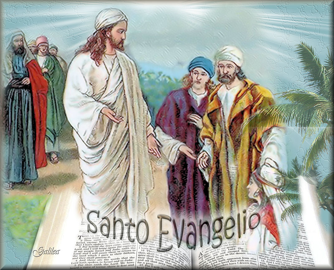 Corazón de Jesús en Vos Confío Santo Evangelio 25 de julio 2016