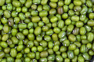  Tanaman kacang hijau yaitu salah satu flora palawija yg sering kita jumpai di sekita Manfaat & Khasiat Kacang Hijau (Phaseolus Radiatus L.)
