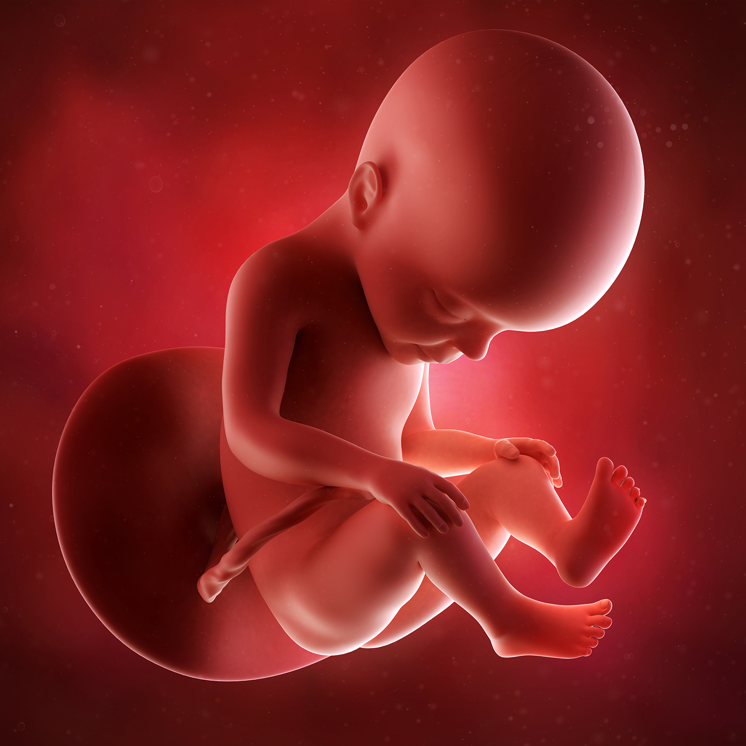 27 недель назад. Ребенок в утробе эмбрион.