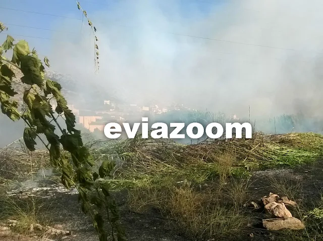 Χαλκίδα: «Κόλαση» φωτιάς στη Λιανή Άμμο - Απειλήθηκαν σπίτια (ΦΩΤΟ & ΒΙΝΤΕΟ)