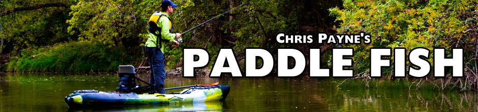 Chris Payne's Paddle Fish