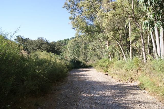 Ruta ornitológica y senderismo en la Sierrezuela de Villafranca y Adamuz .