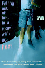 FALLING OUT OF BED IN A ROOM WITH NO FLOOR by Terence Winch
