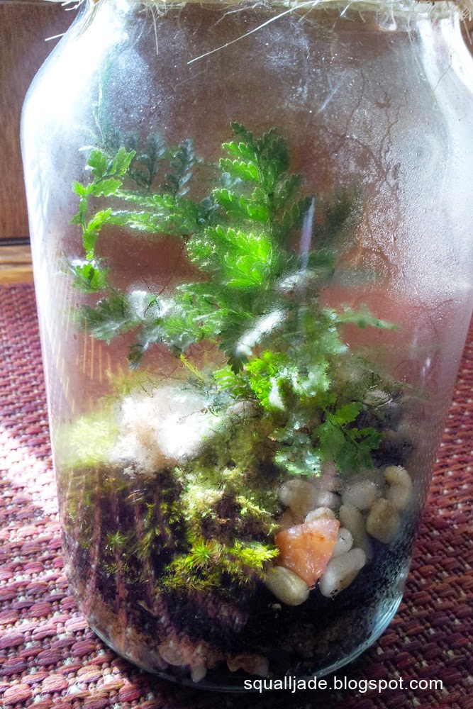 Ulysses Terrarium Tutorial