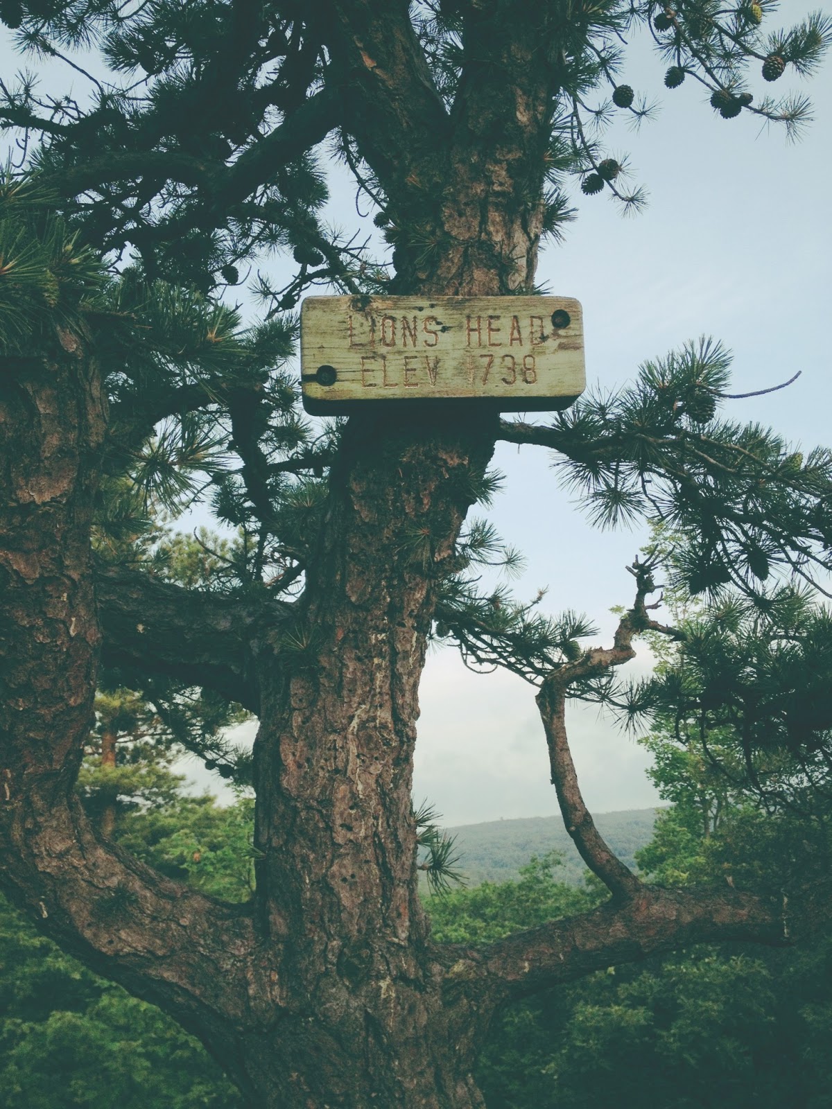 Visibly Moved 4th of July Weekend Adventure Lion's Head Salisbury, CT