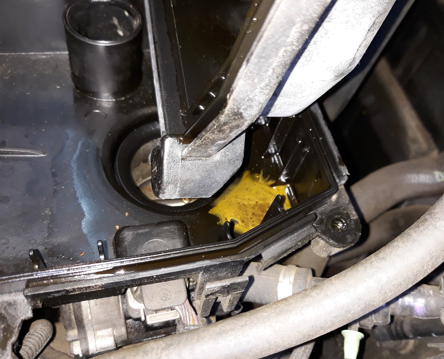 The 62 Ragtop Looker Februar 2007