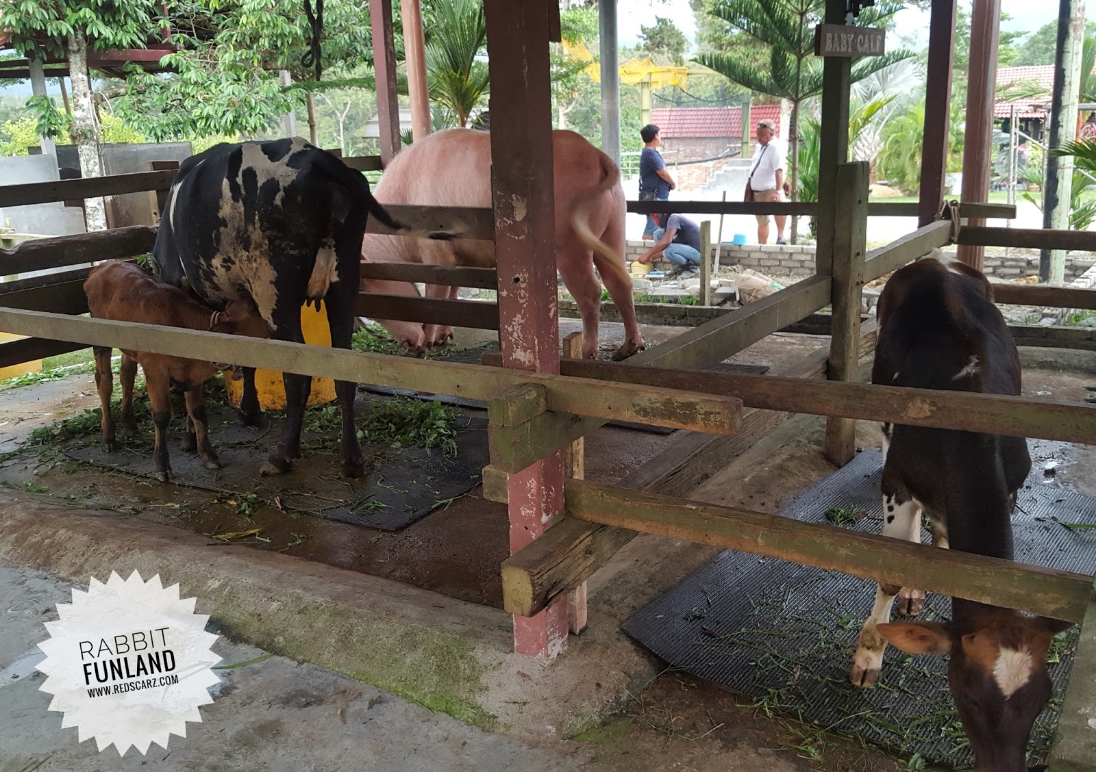 DAUS REDSCARZ: Rabbit Fun Land Broga berpindah ke Lenggeng, Negeri Sembilan