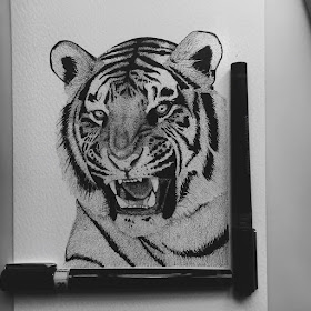 12-Tiger-Paige-Bates-Stippling-Drawings-www-designstack-co