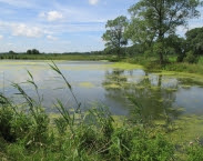 foto cover Evaluatie reallocatie Mander: eindevaluatie 2017 foto cover Evaluatie reallocatie Mander: eindevaluatie 2017
