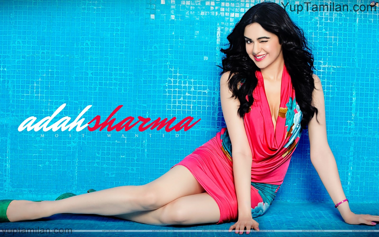 Adah Sharma 40 Hd Wallpapers Sexiest Photo Collection