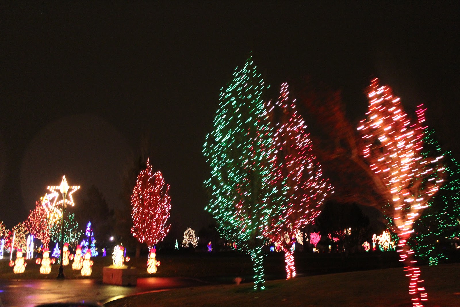 Jen's Updates Holiday Lights at Thanksgiving Point