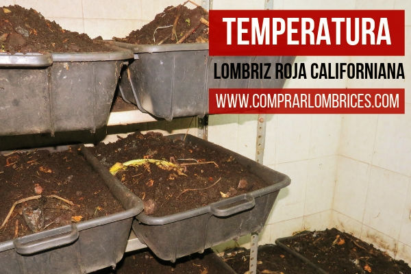 Lombrices Rojas Californianas (Eisenia foetida) : Lombrices Temperatura