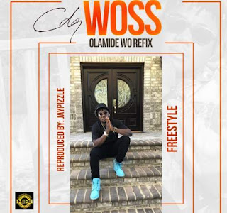 CDQ Woss download