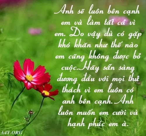 Status tỏ tình đáng iu nhất Status tỏ tình đáng iu nhất