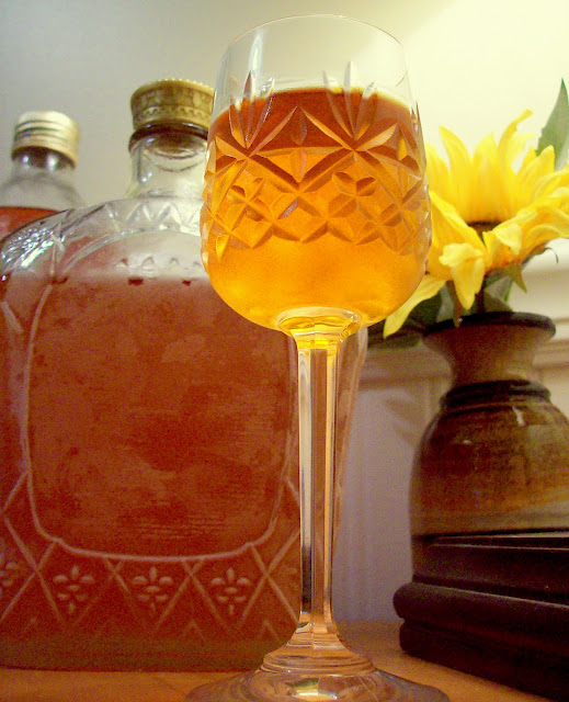 Watching What I Eat Homemade Apple Schnapps making homemade Hooch