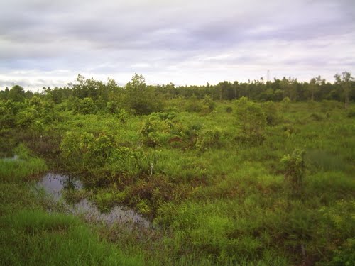 Klasifikasi Tanah ~ Fadhillahxnd