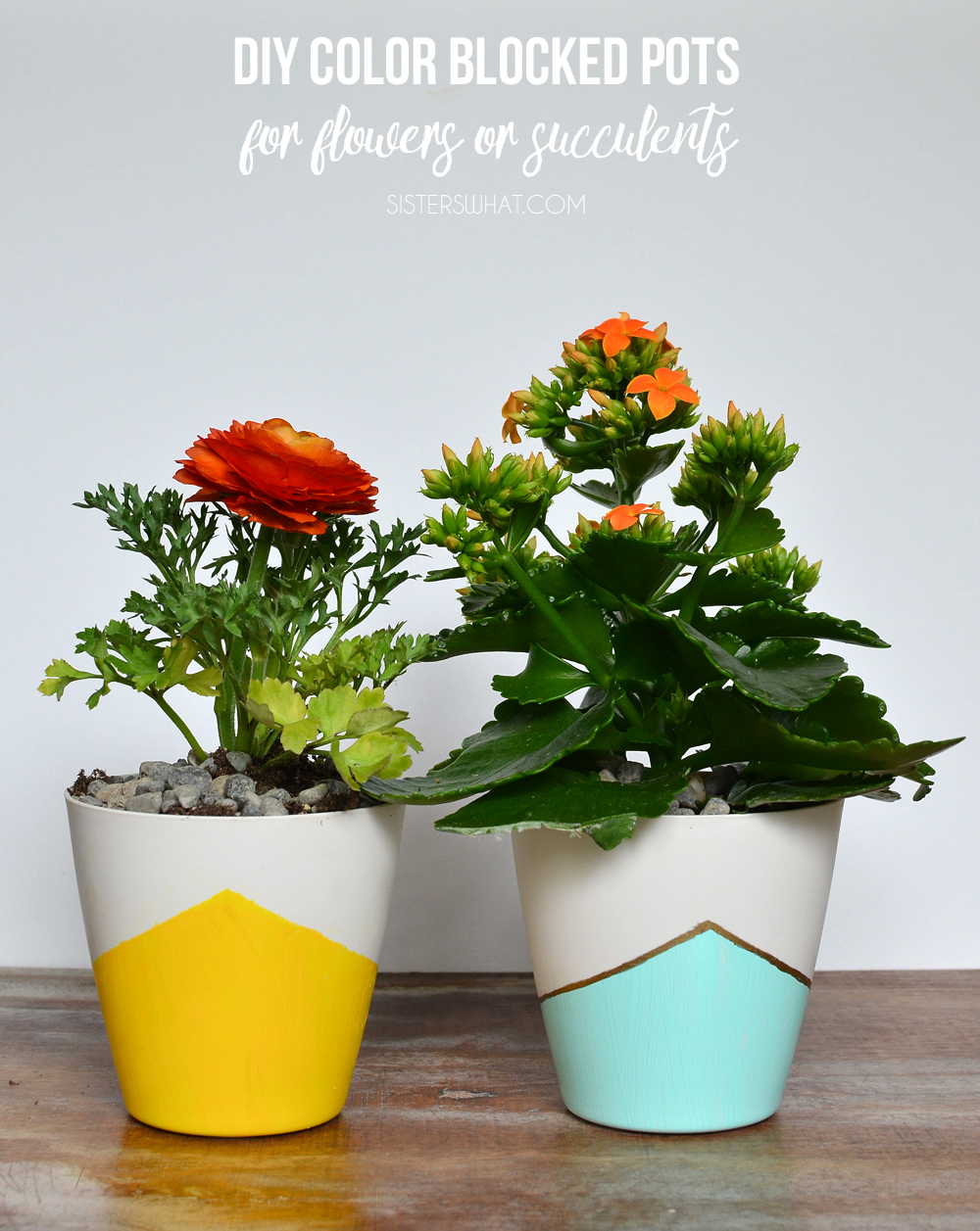 DIY Color blocked pots for flowers and succulents