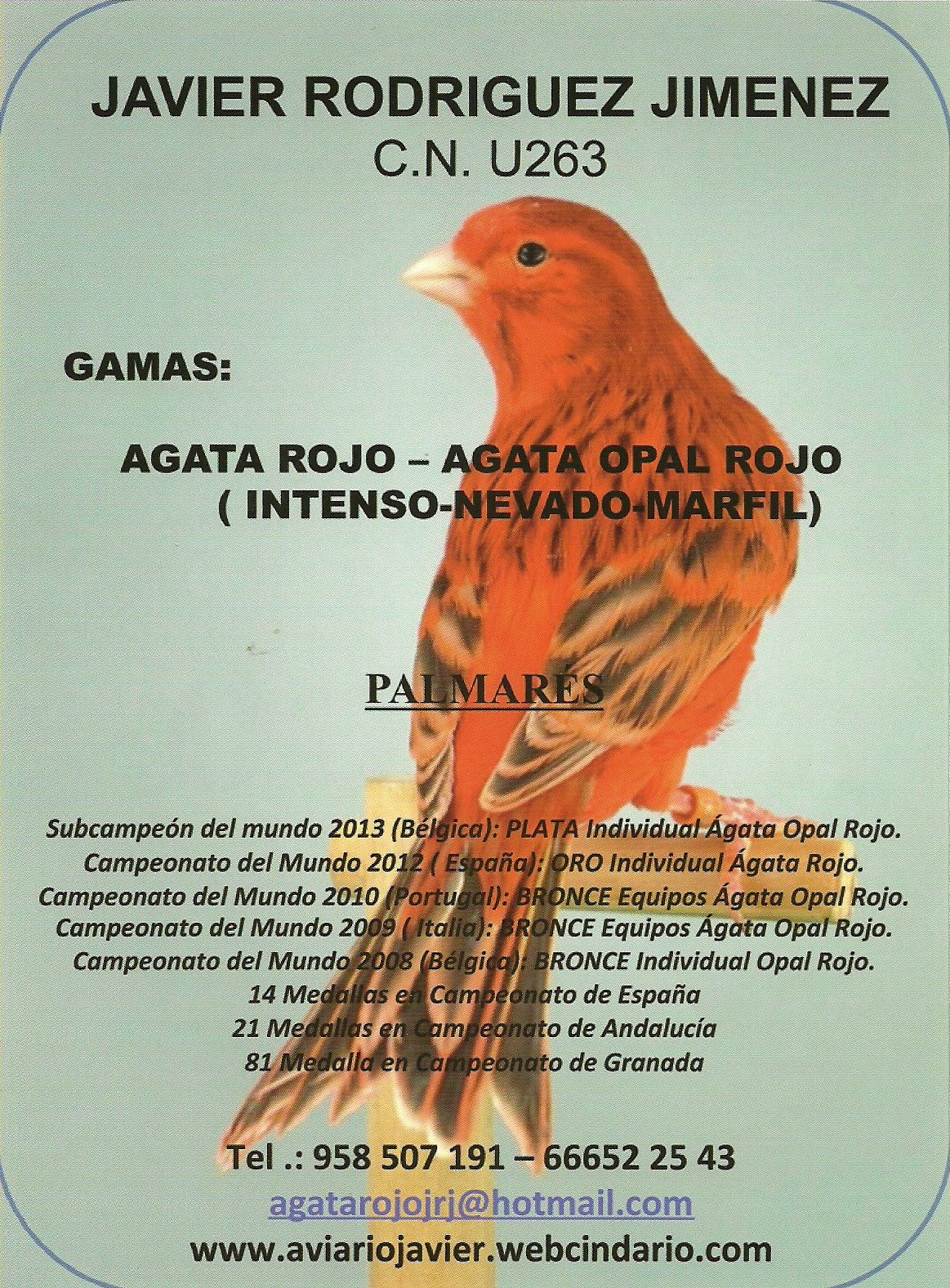 Venta de pajaros