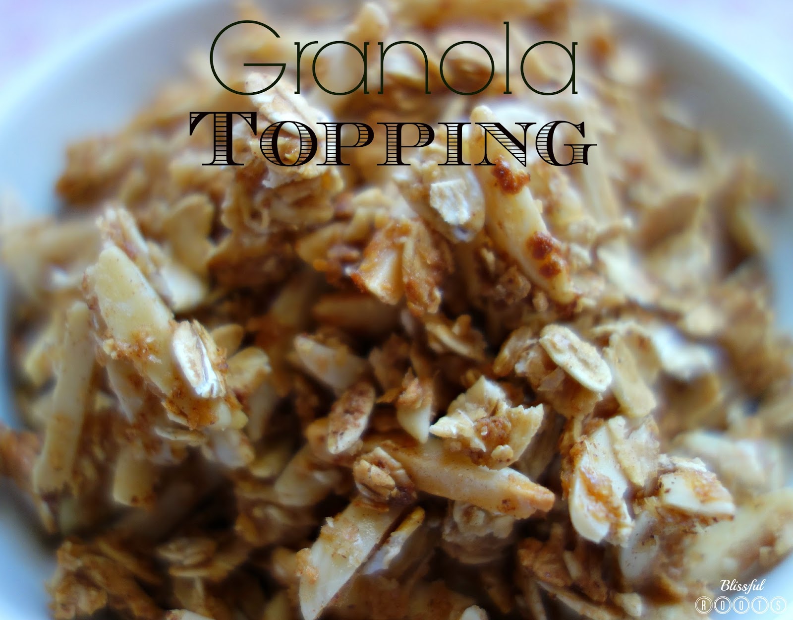 Food Network Ingredient Fix Granola Food Network Ingredient Fix Granola