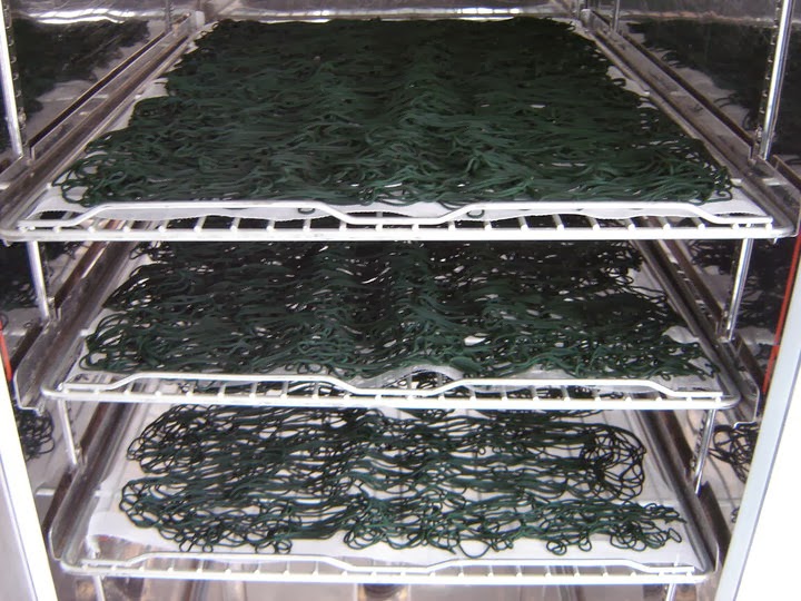 espirulina extrusionada y secada a cuarenta grados