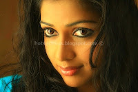 Actress, amala, paul, pictures, in, tight, dress