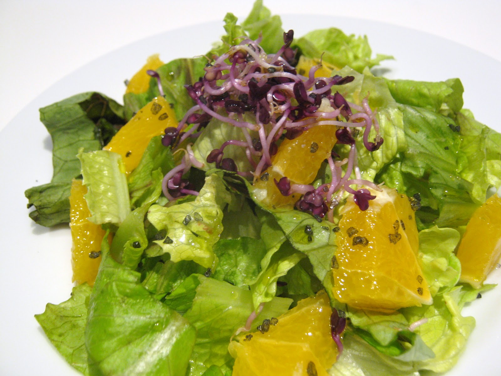 Semi Per Germogli Di Cavolo Riccio Rosso Portuguese - 100g, Ricchi Di Nutrienti, Italian Sprout - Foto 10