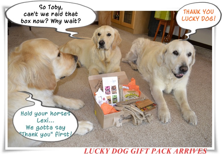 LIVING LIFE TO THE MAX LUCKY DOG'S GIFT SERVICES " AUGUST" BOX