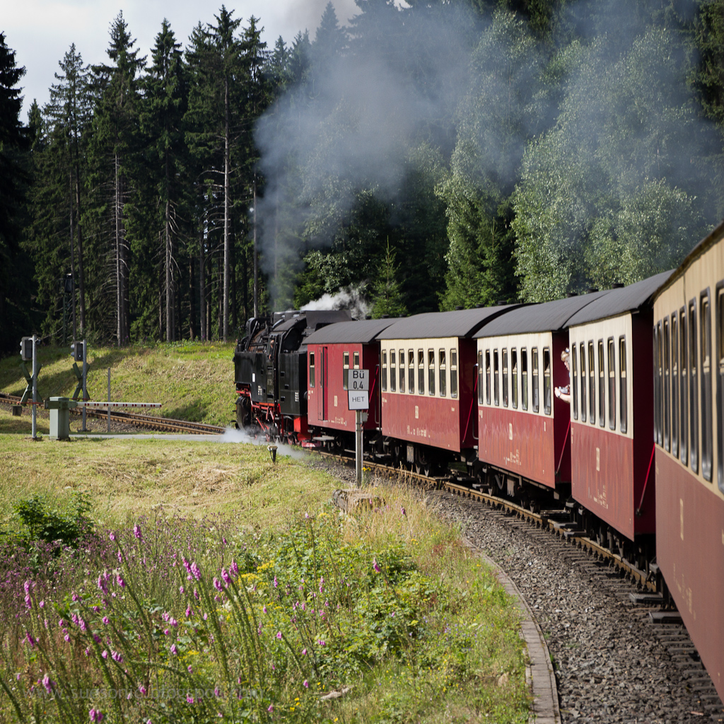 The Lost Fort More Rocks The Karst Formations Near Scharzfeld