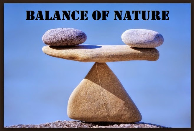 Balance Of Nature - fasrdirect